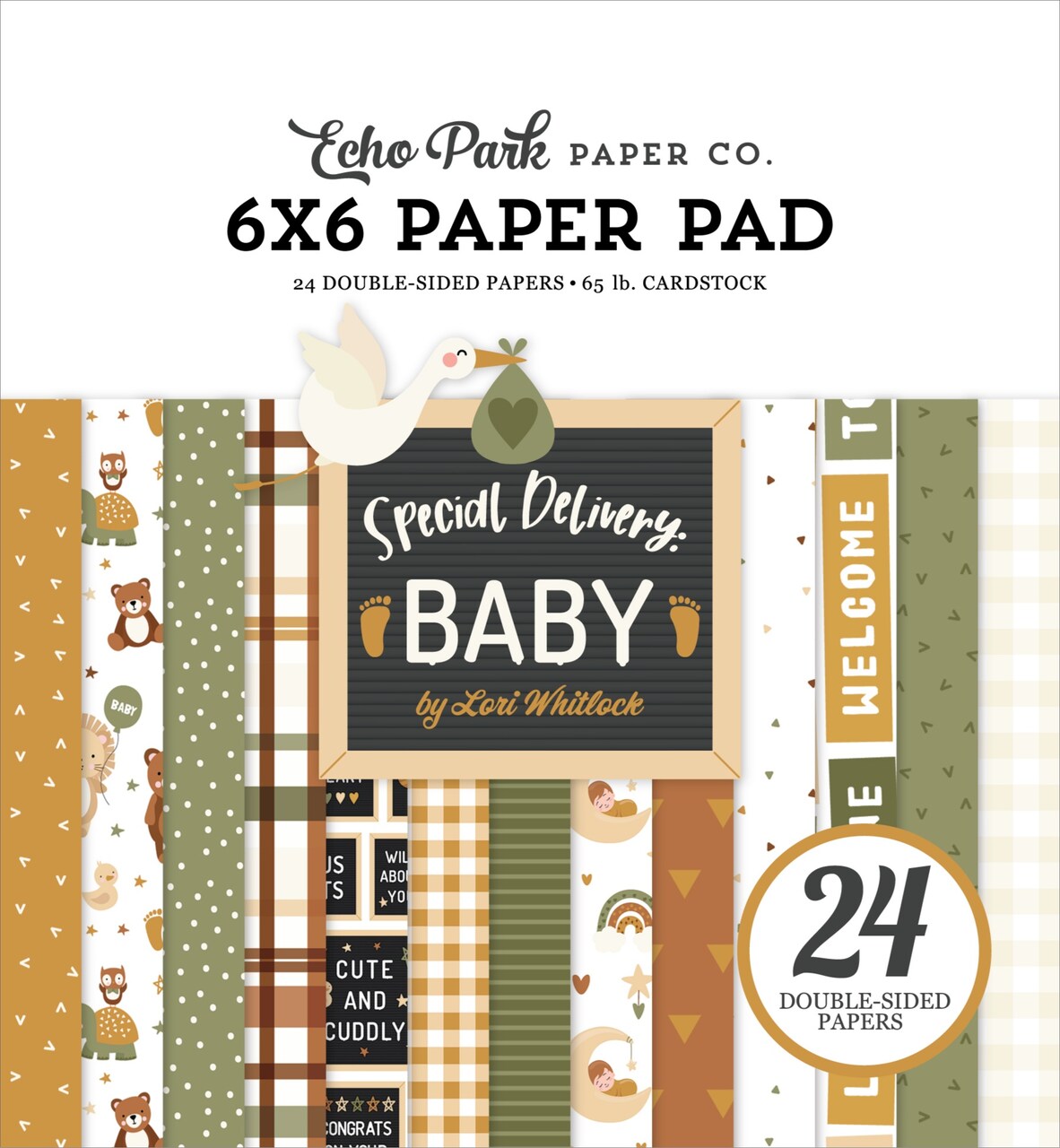 Echo Park Double-Sided Paper Pad 6"X6" 24/Pkg-Special Delivery Baby